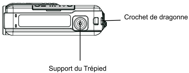 TOSHIBA CAMILEO S10 - Remarque - 4