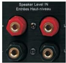 MOSSCADE TITAN 7.4 NOIR - Branchement du caisson à l'amplificateur - 2