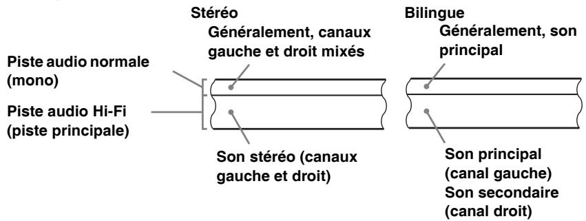 SONY SLV-SE640 - Comment est enregistré le son sur une cassette vidéo - 1