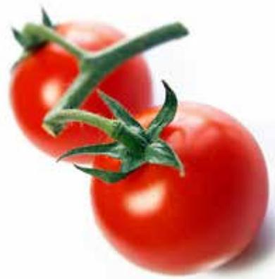 MAGIMIX Blender85109F - Chutney tomate chili - 1