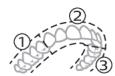 PHILIPS HX9911/88 - BrushPacer - 1