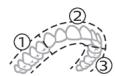 PHILIPS HX9911/88 - BrushPacer - 1