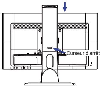ITYAMA XU2390HS-B1 - Attention - 1