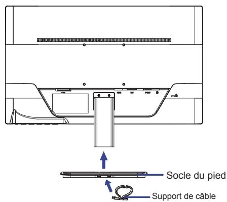 ITYAMA XU2390HS-B1 - Attention - 2