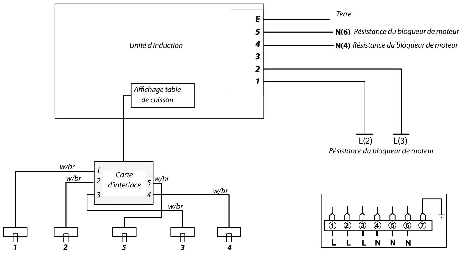 FALCON CDLIOOEILT/C-EUC - Induction schéma de câblage: table de cuisson - 1
