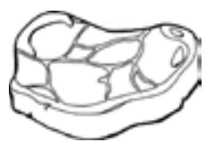 PROLINE PLC253NFWH - Red meat - 1