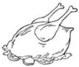 PROLINE PLC253NFWH - Pluimvee - 1