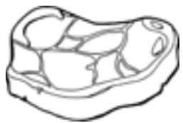 PROLINE PLC253NFWH - Rood vlees - 1