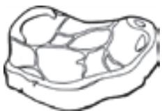 PROLINE PLC253NFWH - Viande rouge - 1