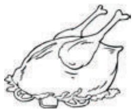 PROLINE PLC253NFWH - Poultry - 1