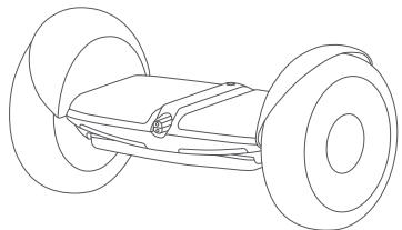 NINEBOT MiniLITE - Packliste - 2