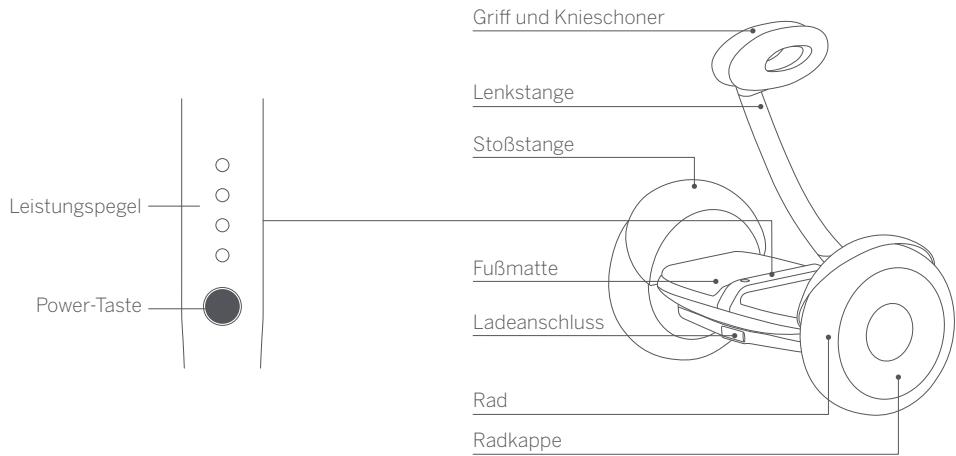 NINEBOT MiniLITE - Diagramm - 1