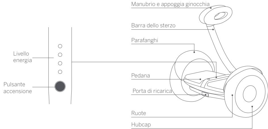 NINEBOT MiniLITE - Schema - 1