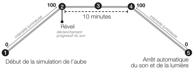 DAYVIA LIGHT UP 800 - -Réglage des alarmes 1 et 2 avec simulation de l'aube - 1