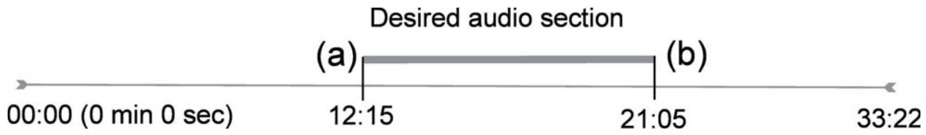 ARCHOS AV700 40 GO CANALSAT - Édition audio - 1