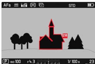 FLER APN HYBRIDECL STARTER BUNDLE - Affichages sur l'écran / dans le VISEUR mode prise de vues - 2