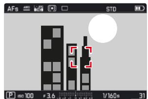 FLER APN HYBRIDECL STARTER BUNDLE - Touche AF - 2