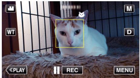 JVC GZ-E300 - Capturer des animaux automatiquement (PHOTO animaux) - 7