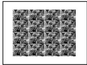 SONY DPP-MS300/MS300E - Making a sticker - 1