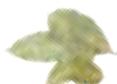 MAGIMIX COOK EXPERT 18903 - Variante - 8