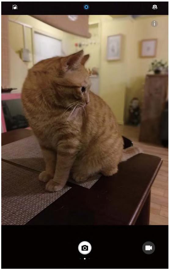 HUAWEI M5 10 32GB 4G GREY - Prendre des photos mobiles - 1