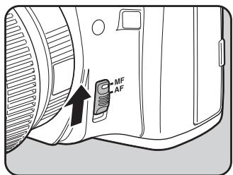 PENTAX K200D+KC+OBJ+DBG3+FT - Utilisation du cadre de visée - 1