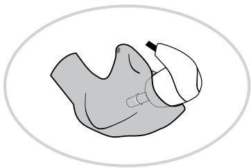 SHURE CASWM SE210 WHITE - Homologation - 1