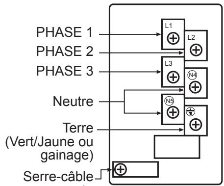STOVES PRICHMRS5DFTJAL - Branchement de l'alimentation électrique - bornier - 1