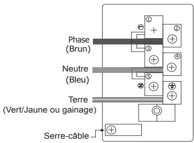 STOVES PRICHMRS5DFTJAL - Branchement de l'alimentation électrique - bornier - 2