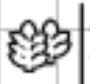MOULINEX OW600030 - Ciabatta (programme 2) : pour 4 ciabatta - 1