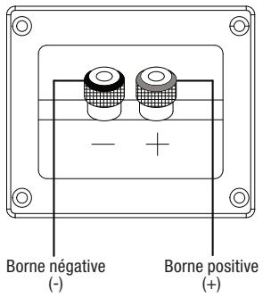 JBL L52 - BRANCHEMENTS - 1