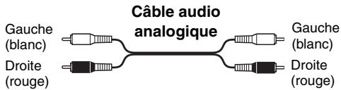 ONKYO C7070 - Code de couleurs des prises de connexion - 1