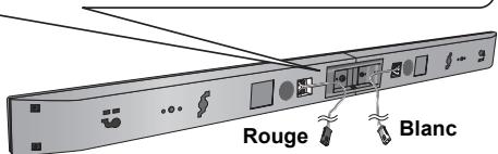 PANASONIC SC-BTT230 - Raccordez les câbles d'enceinte. - 2