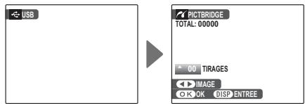 FUJIFILM FINEPIX 3D W1 - Raccordement de l'appareil photo - 2