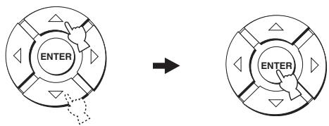 YAMAHA YRS-2000 - Utilisez / pour sélectionner MANUAL SETUP, et appuyez sur ENTER. - 2