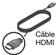 BOSER 321 GSXL S3 - Connexion du téléviseur au système - 1