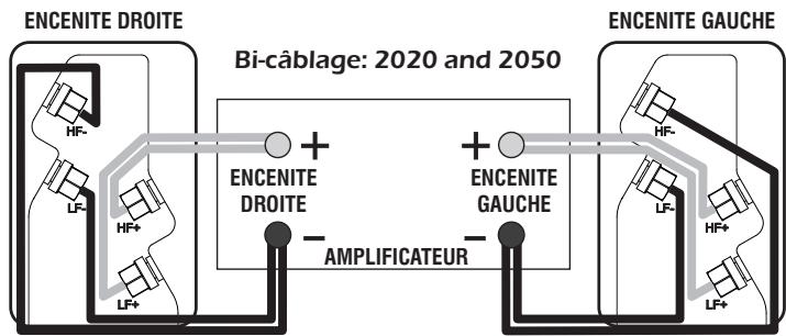 Q-ACOUSTICS Q2020 - Bi-cablage - 1