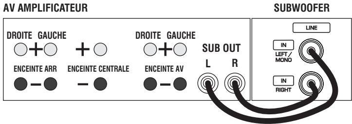 Q-ACOUSTICS Q2020 - Connexions - 1