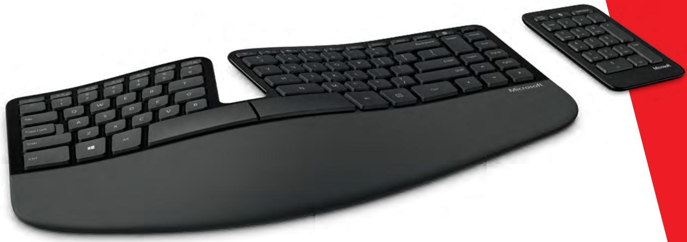 MICROSOFT CLAVIER+SOURIS SCULPT ERGON - Mise au rebut des piles et déchets d'équipements électriques et électroniques - 2