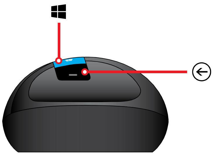 MICROSOFT CLAVIER+SOURIS SCULPT ERGON - Mise au rebut des piles et déchets d'équipements électriques et électroniques - 13
