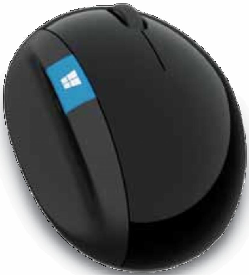 MICROSOFT CLAVIER+SOURIS SCULPT ERGON - Mise au rebut des piles et déchets d'équipements électriques et électroniques - 11
