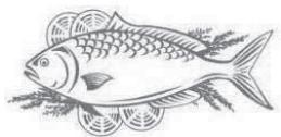 FORTEX REFRIGERATEUR-CONGELATEUR - Fish and seafood - 1
