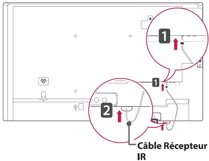LG REFERENCE - Connexion du récepteur IR - 2