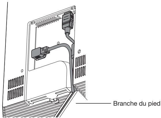 BOSER VIDEOWAVE 55S3 - Mise en place du moniteur avec son support - 6