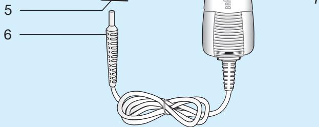 DARRY BRAUN 33170 - 5