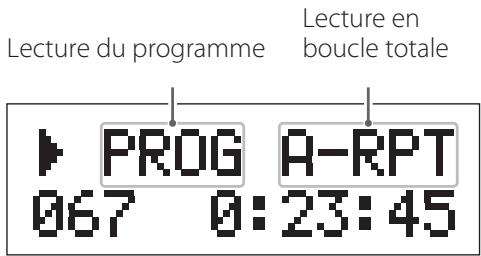 TEAC PD501HR S SILVER - Lecture en boucle de tout le programme - 1