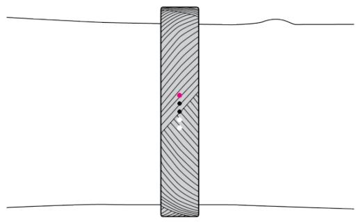 FITBIT FLEX 2 LAVENDER - Suivi des activités par heures - 1