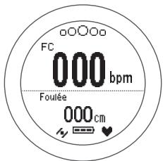 EPSON SF-810 B - Remarque : - 5