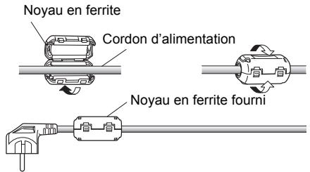 JBL PD35B50B - Fixation des noyaux en ferrite - 1