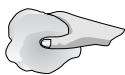 BOSCH PCD 345 CEU INOX - Normes d'utilisation pour la plaque en verre : nettoyage et conservation - 5
